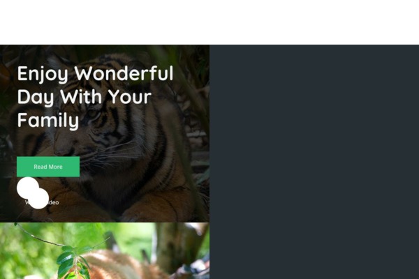 Шаблон для сайта Zoofari - Zoo & Safari Park Website Template